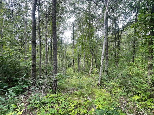 Listing photo 2 for LOT1 Patriot Ave, Pequot Lakes MN 56472