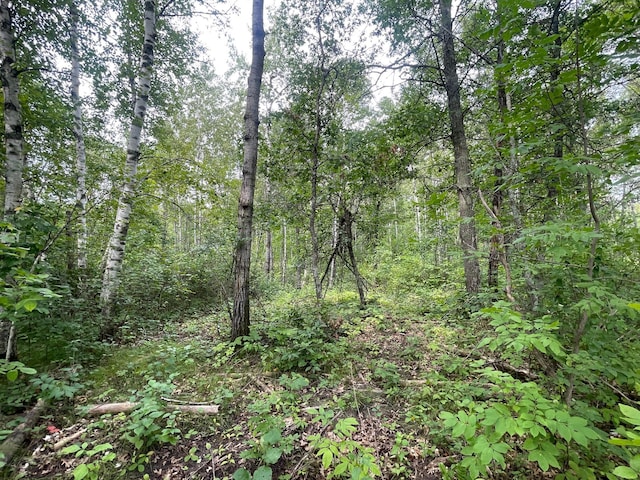 Listing photo 3 for LOT1 Patriot Ave, Pequot Lakes MN 56472