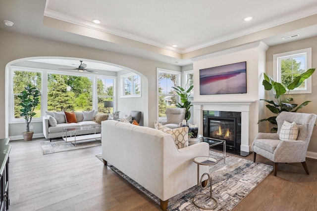 living room featuring a fireplace, a tray ceiling, hardwood / wood-style floors, and ceiling fan