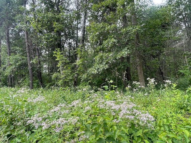 Listing photo 3 for LOT4 Patriot Ave, Pequot Lakes MN 56472