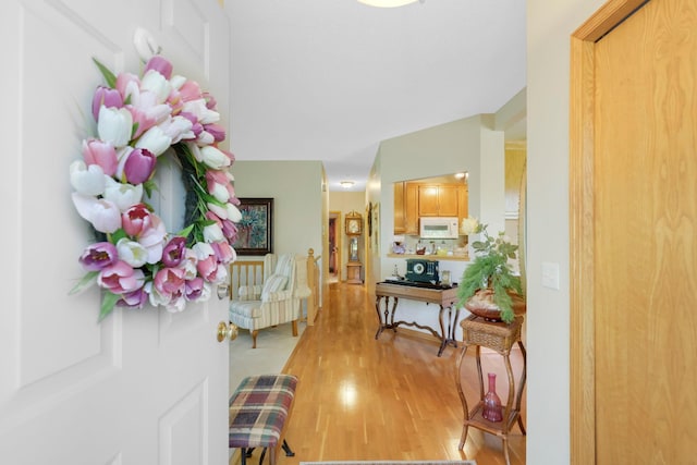 foyer featuring light wood-type flooring