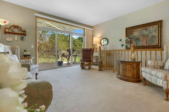 living area with carpet floors and a textured ceiling