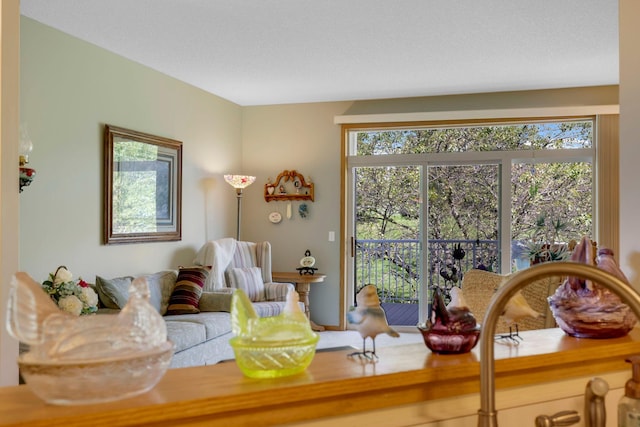 living area featuring a healthy amount of sunlight