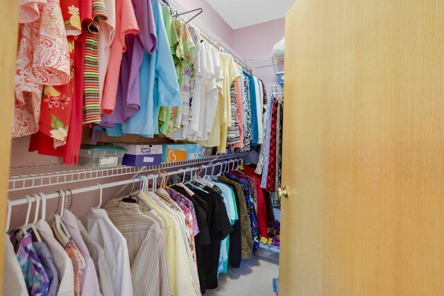 view of spacious closet