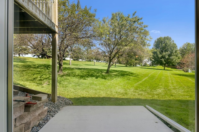 view of yard featuring a patio area