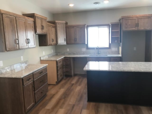 kitchen featuring dark wood-type flooring and sink