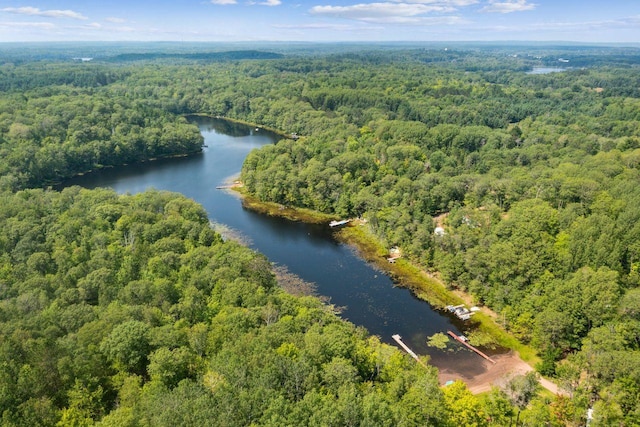 drone / aerial view featuring a water view and a view of trees