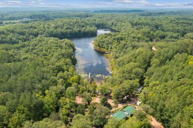bird's eye view with a water view and a forest view