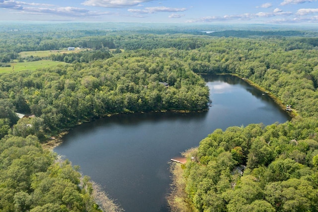 drone / aerial view with a wooded view and a water view