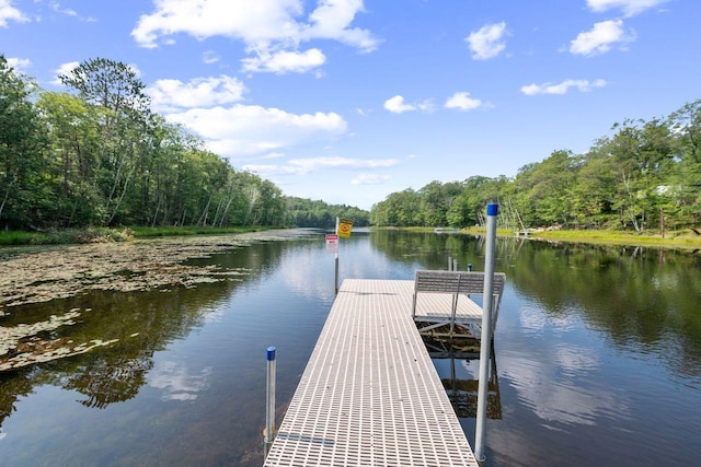 dock area featuring a wooded view and a water view
