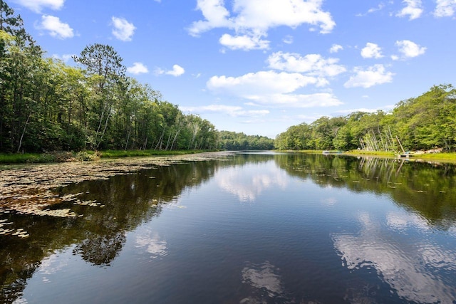 water view with a forest view