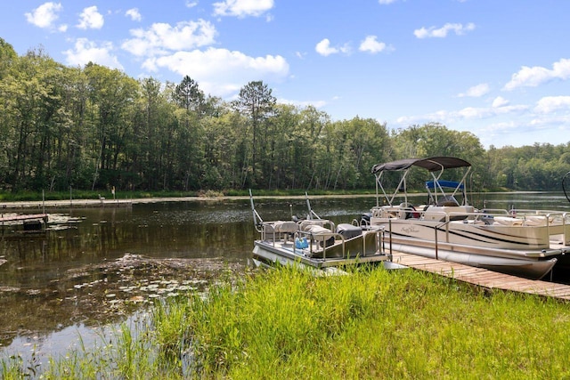 view of dock featuring a water view and a view of trees