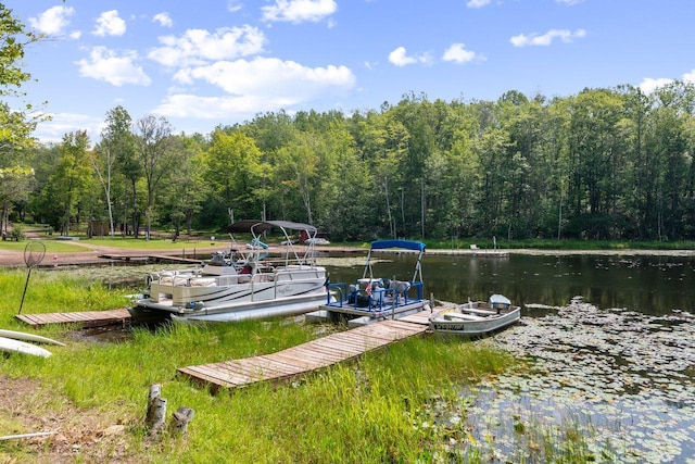 dock area featuring a water view and a forest view