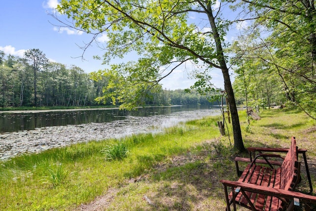 view of community with a water view and a forest view