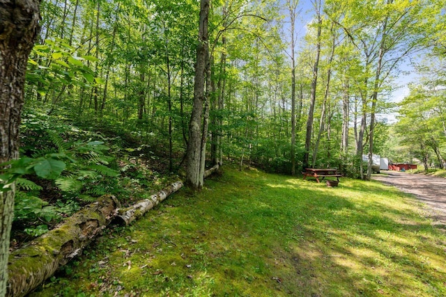 view of yard with a forest view