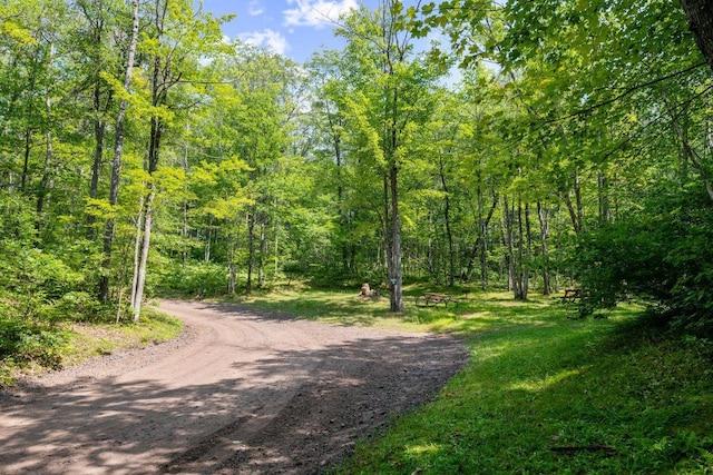view of road with a forest view