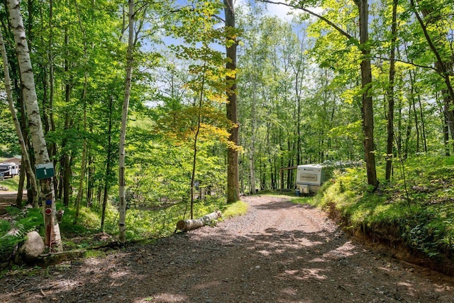 view of road with a view of trees