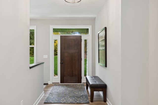 entrance foyer featuring hardwood / wood-style floors