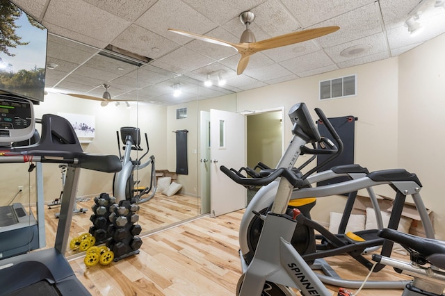 exercise room featuring hardwood / wood-style flooring, ceiling fan, and a drop ceiling