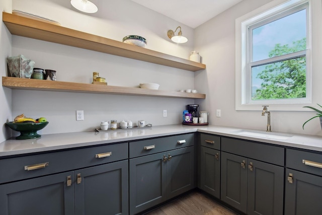 interior space with sink, plenty of natural light, and dark wood-type flooring