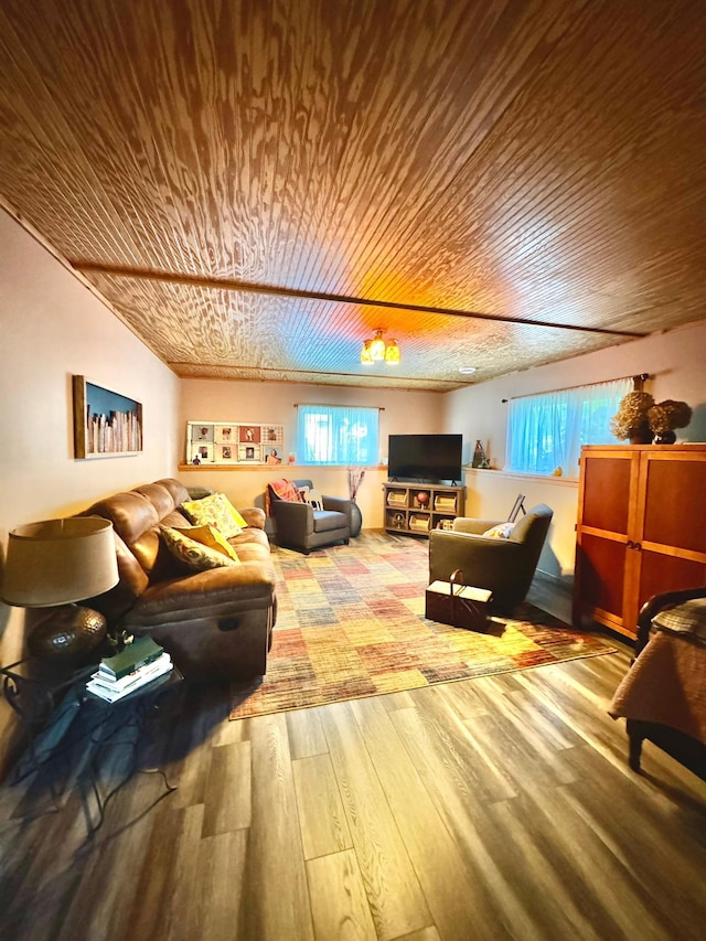 sitting room with wood-type flooring and a wealth of natural light