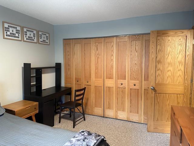 carpeted bedroom featuring a closet