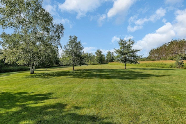 view of home's community with a lawn