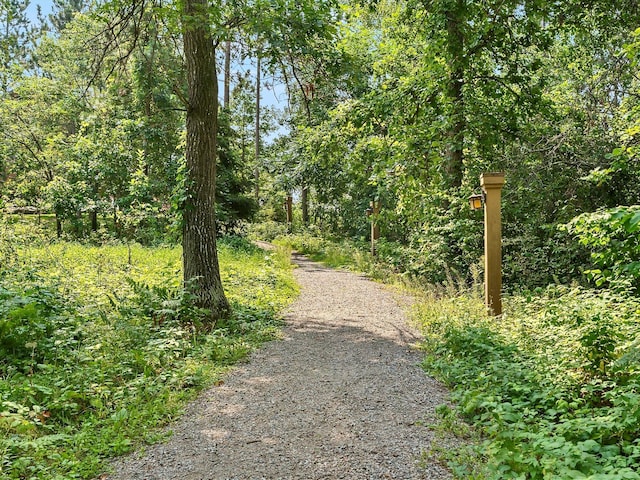 view of road with a view of trees