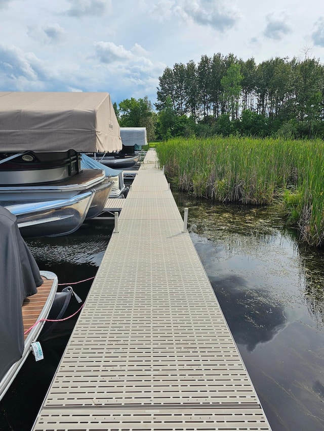 dock area featuring a water view