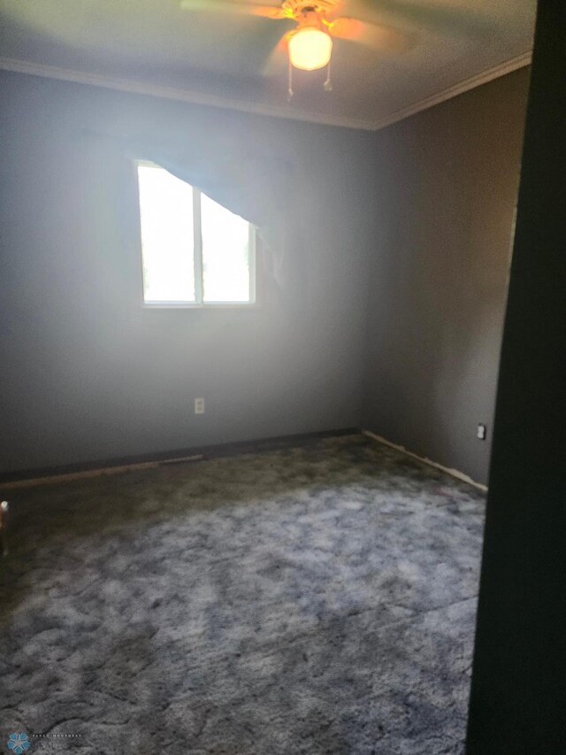 empty room with carpet flooring, ceiling fan, and ornamental molding