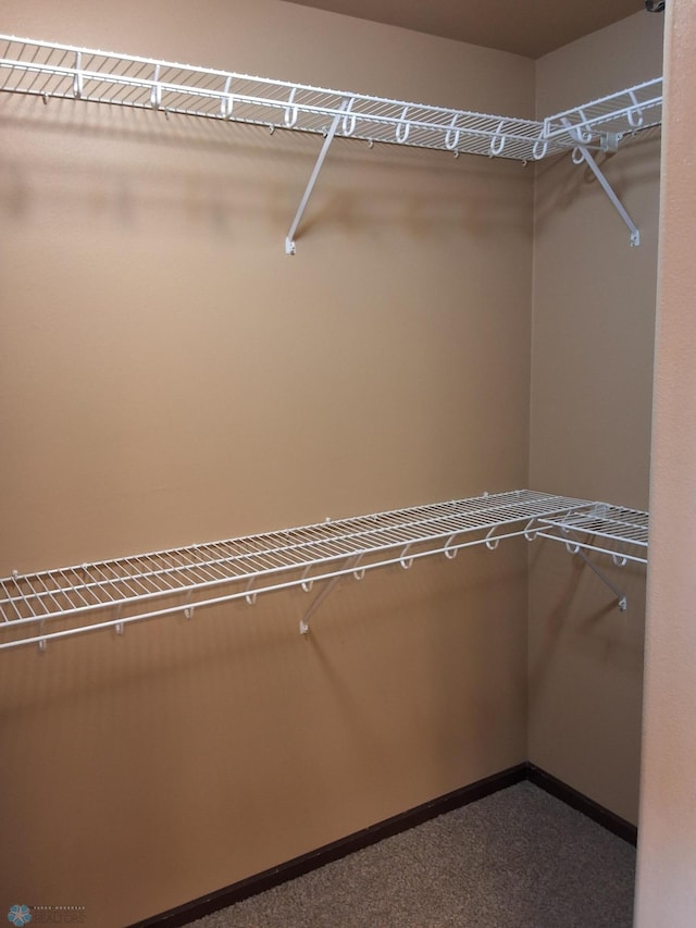 915 30th Ave W, West Fargo, ND 58078 - walk in closet featuring carpet flooring
