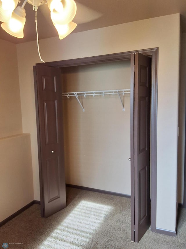 915 30th Ave W, West Fargo, ND 58078 - view of closet