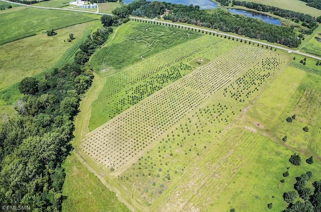 birds eye view of property featuring a rural view and a water view