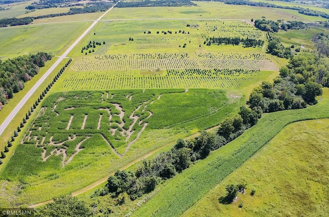 birds eye view of property featuring a rural view