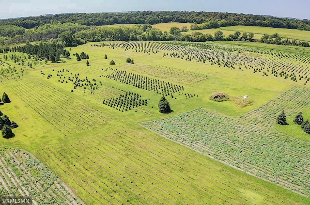 drone / aerial view featuring a rural view