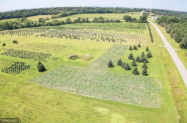 birds eye view of property with a rural view