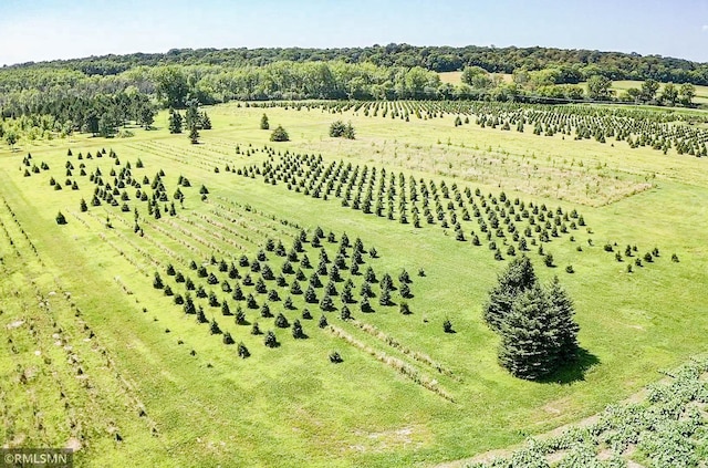 aerial view featuring a rural view