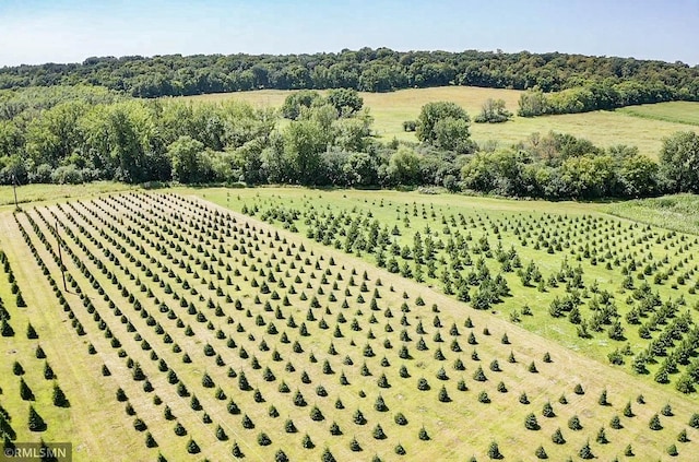 birds eye view of property featuring a rural view