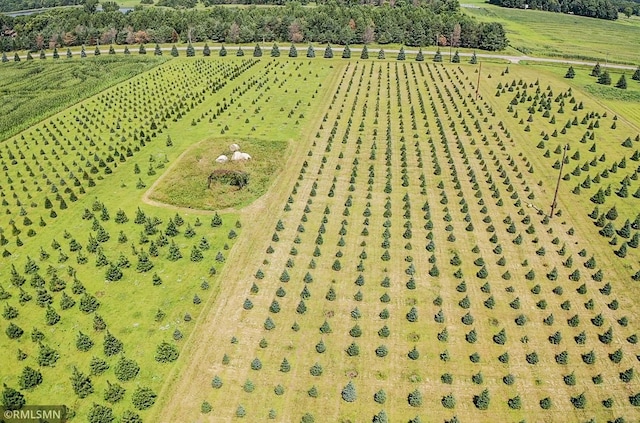 aerial view with a rural view