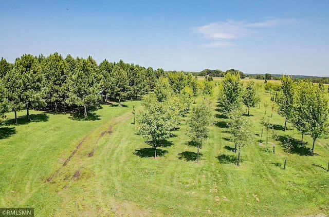 view of nature featuring a rural view