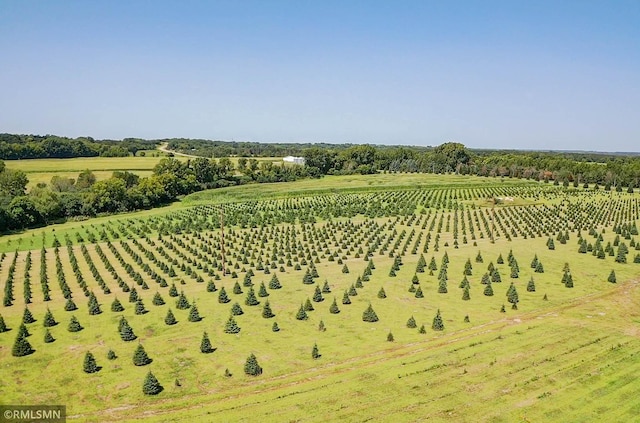 aerial view featuring a rural view