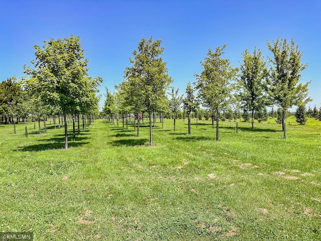 view of yard featuring a rural view