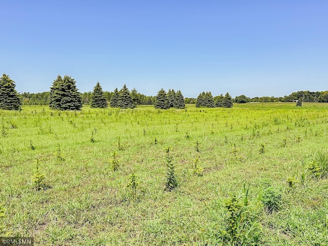 view of landscape with a rural view