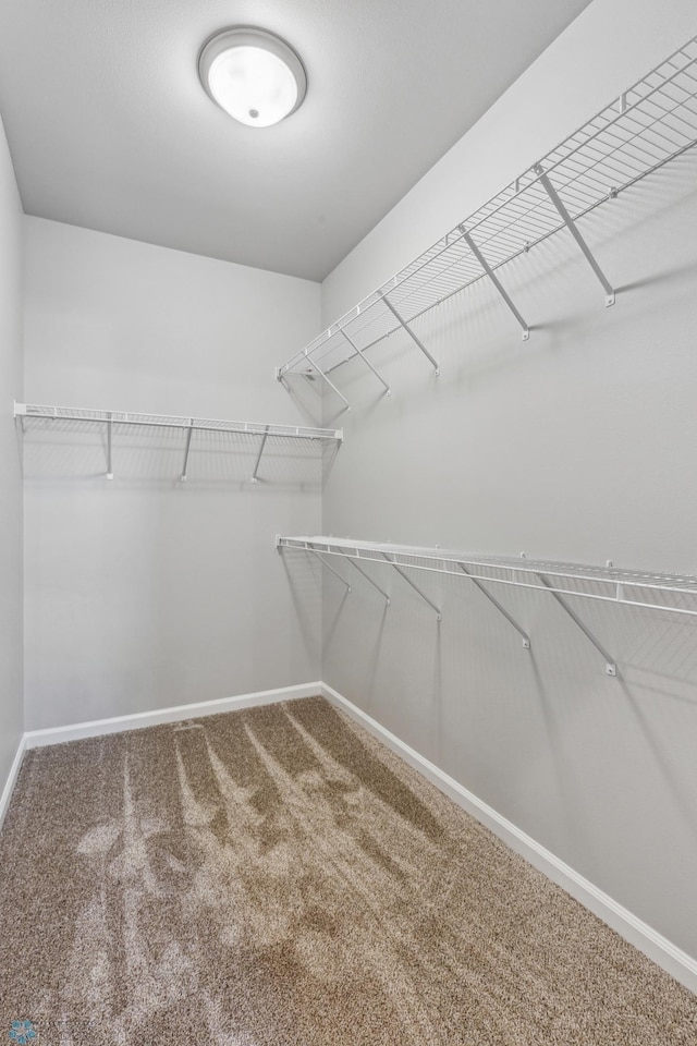 spacious closet with carpet