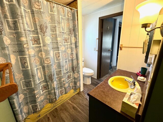 2769 28th St NW Unit 140, Wheeler Twp, MN 56623 - full bathroom featuring vanity, toilet, a shower with shower curtain, and wood finished floors