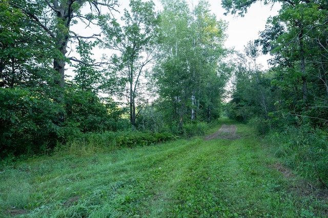 6608 148th St NW, Pike Bay Twp, MN 56633 - photo 28