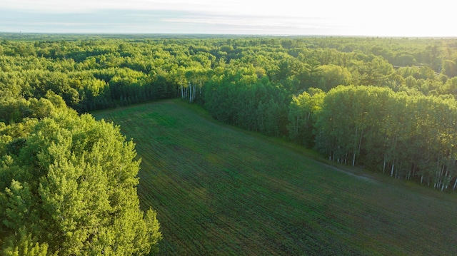 6608 148th St NW, Pike Bay Twp, MN 56633 - photo 84