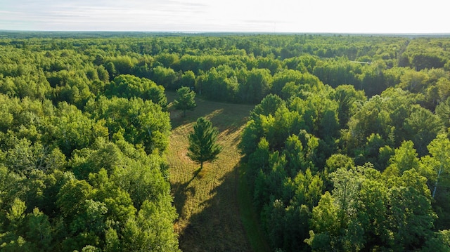 6608 148th St NW, Pike Bay Twp, MN 56633 - photo 86