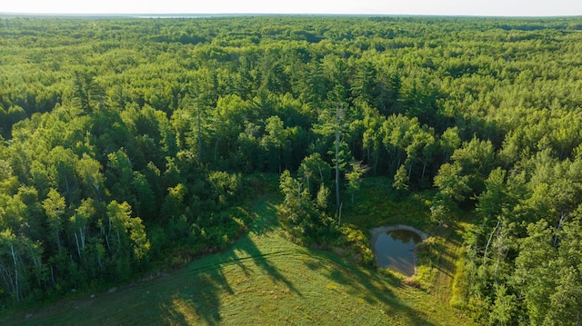 6608 148th St NW, Pike Bay Twp, MN 56633 - photo 89