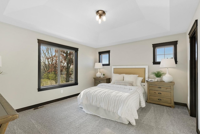 carpeted bedroom with a raised ceiling